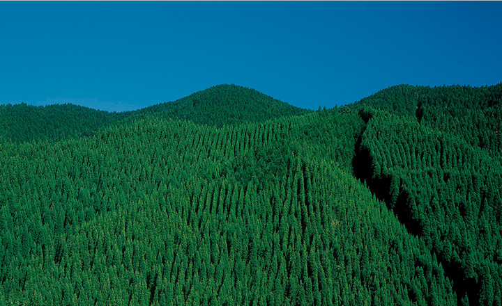 自然素材へのこだわり