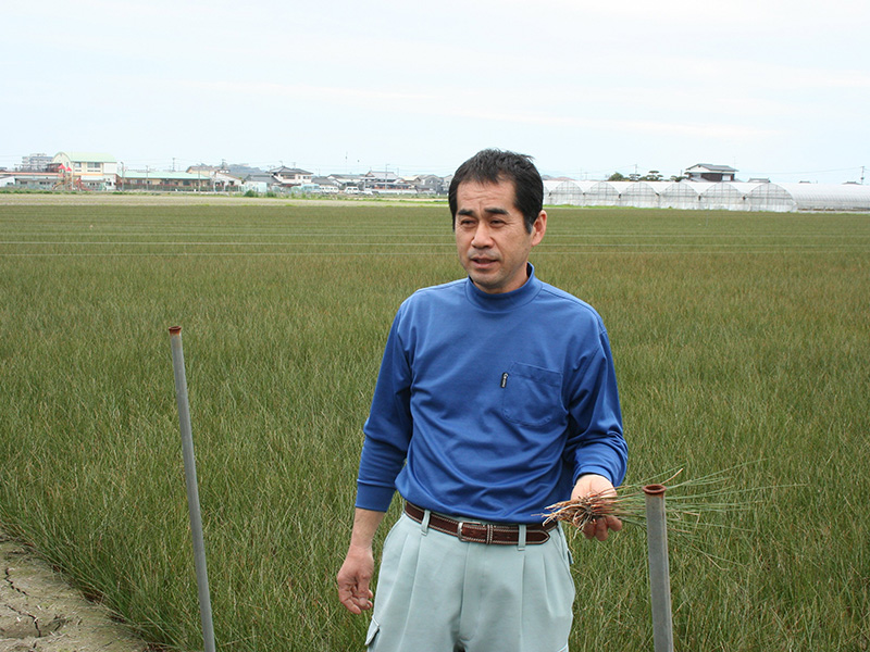 新産住拓だけの特別な畳