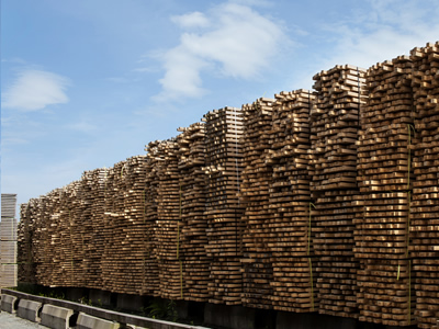 枝葉を切り落として粗挽き製材（1次加工）し、1～2年乾燥させます。