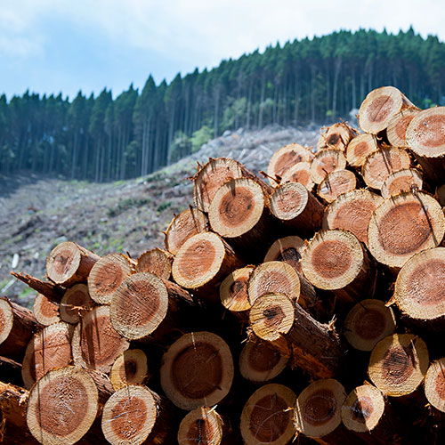 熊本の木の家／新産住拓リフォーム
