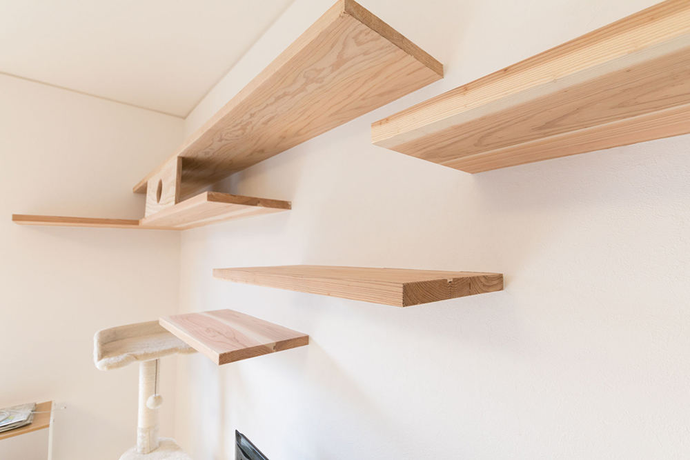 リビングには、猫も楽しめる空間を