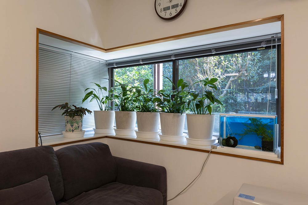 陽の光はそのままに、快適な空間を叶える高断熱サッシ